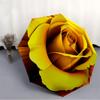 1pc Yellow Rose Automatic Folding Umbrella - Portable Collapsible Design, 8-Rib Iron Frame, Durable Fabric yy251125073