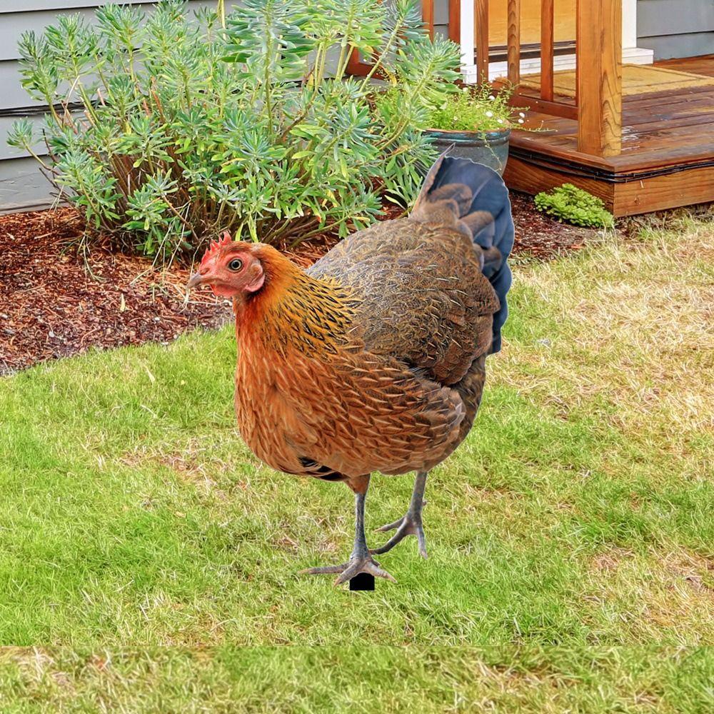 Yard Art Acrylic Chicken Ornament DIY Animals Sculpture Creative Garden Chicken Stake Backyard