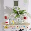 Plastic Suction Cup Storage Rack Cartoon Makeup Organizer Cosmetic Storage Box  Kitchen