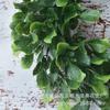 Small Artificial Jasmine Wreath Door Decoration Plastic Floral Garland Semi-Handmade American Style Home Decor