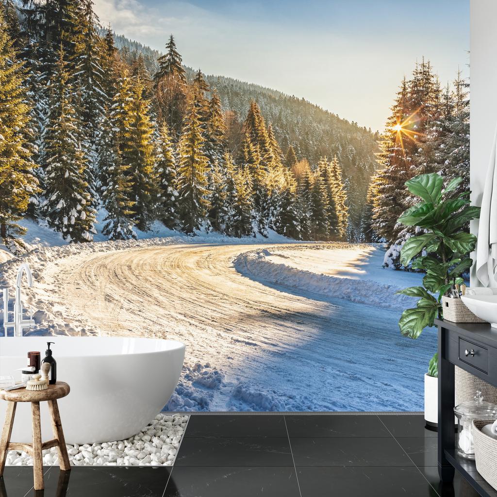 Photomural Winter Forest Smooth Vinyl 360x240