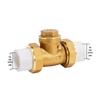 PPR Brass Hot-Melt Horizontal Check Valve
