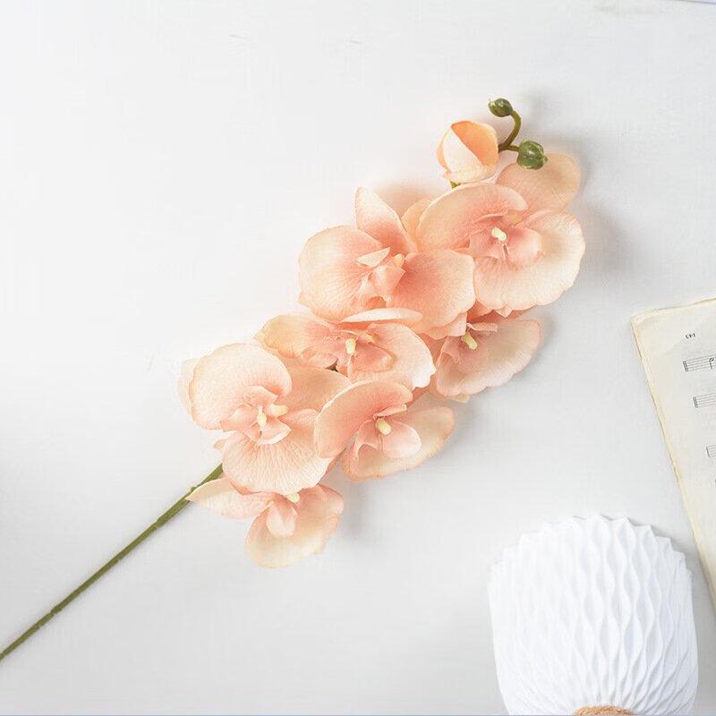 Champagne Artificial Phalaenopsis Orchid Set (3 Stems)