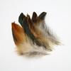 50Pcsdiy Jewelry Accessories Feather Diy Feather Headdress Corsage Hat Shoes Handicrafts Decorative Materials