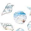 Marine Wall Decoration Wooden Board Hanging Coastal Conch Shell Unique Mediterranean