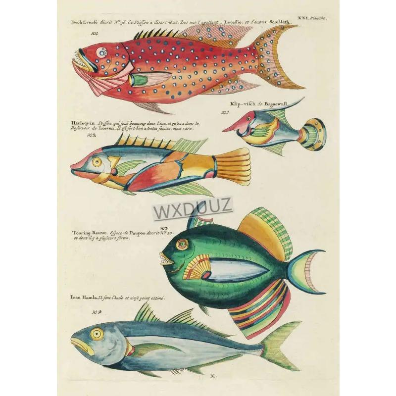 Vintage Insect Birds Fish Animal Educational Posters Home Bar Cafe Decor Art Wall Painting Wall Decor Poster Canvas Painting