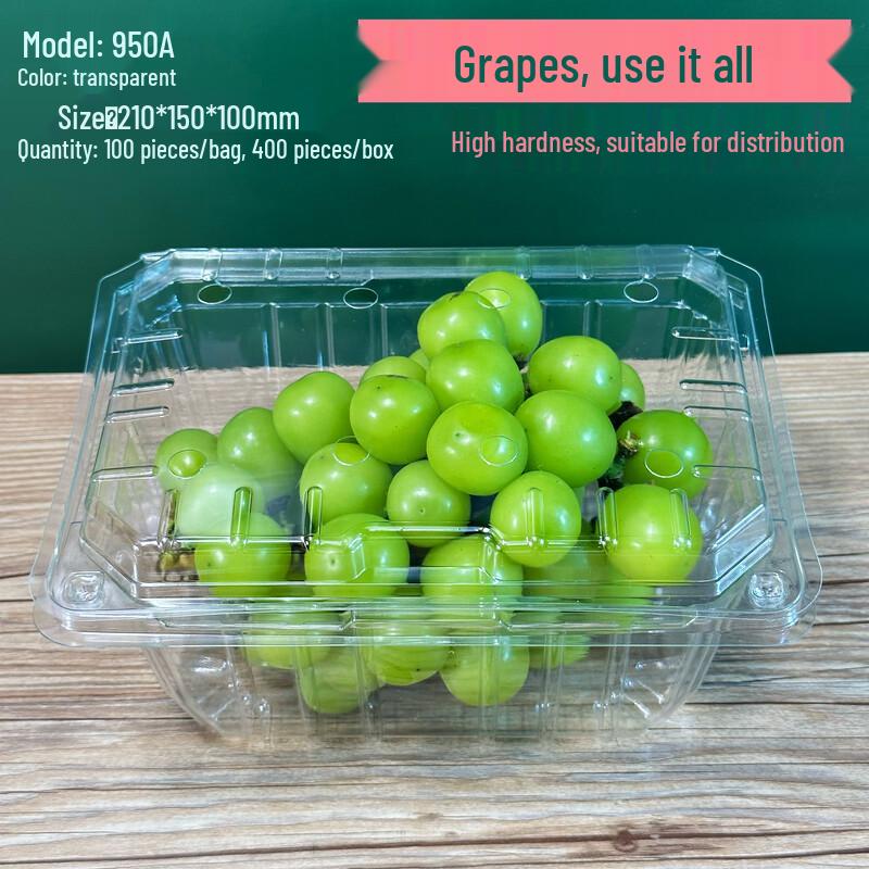 

Shixun Disposable Transparent Fruit Box