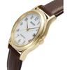 Citizen RS25-0031B Men's Reguno Solartech Standard Model Watch
