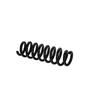 Ft01874 Fast Rear Suspension Spring