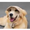 Cute Pet Baseball Cap Ear Hole Design Outdoor Sun Hat Dog Visor Cap for Golden Retriever Labrador Big Dogs Walking Travel Pet Accessories
