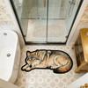 Tapis de porte Lion Absorbant Tapis de sol Loup Antidérapant Nouveau Tapis Tigre Chambre à coucher Salle de bain