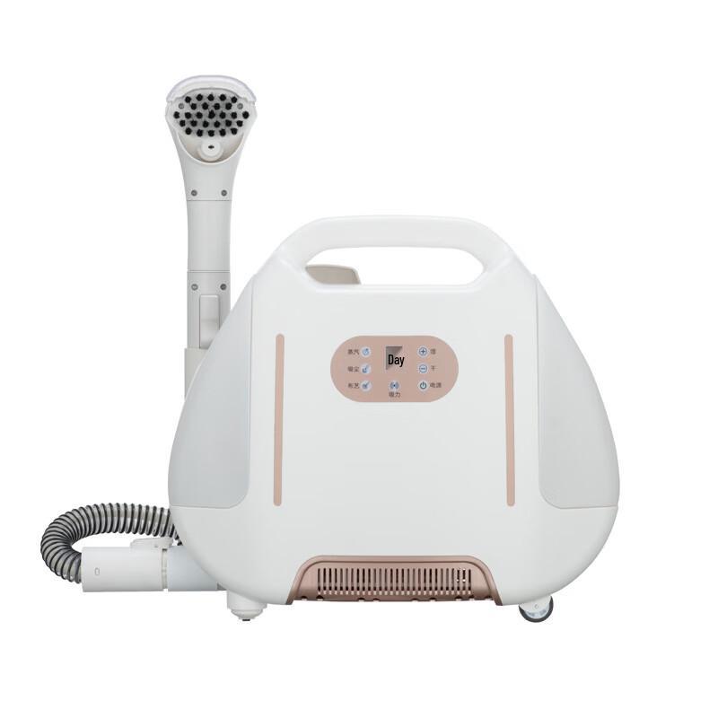 CNTII QJ-2600W Steam & Fabric Cleaner CN plug (adapter included)
