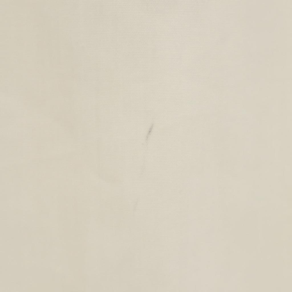 SNIDEL unused Short sleeve Puff sleeve blouse F white pullover Women Used