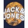 Jack & Jones Bloomer свитшот