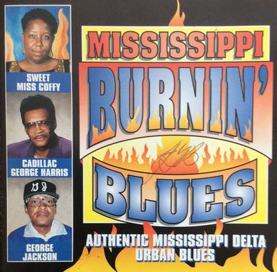CD VARIOUS - Mississippi Burnin' Blues MG1017 Mardi Gras Reco 1993 Japan Blues Used