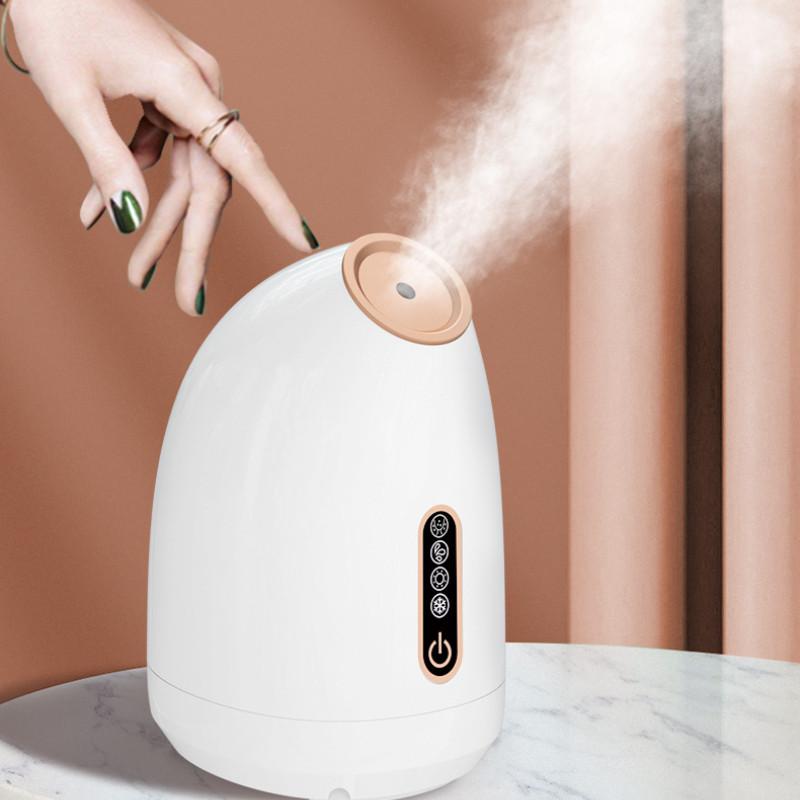Cold and Hot Face Sprayer Small Facial Ion Water Replenishing Spray Machine Household Fragrance Beauty Face Steamer