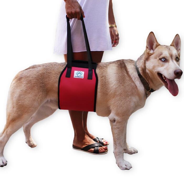 Hot Selling Dog Carrier Handbag & Support Waist Belt