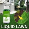 59ml Green Grass Lawn Spray Household  System Liquid Spray  Lawn Care Grass Nutrient Solution Fertilizer