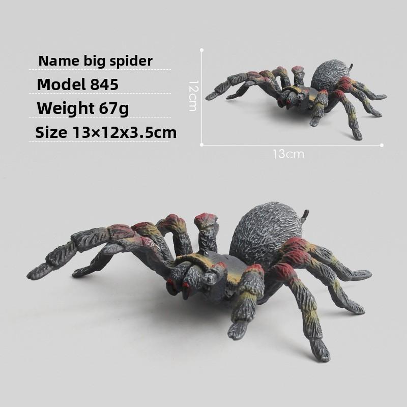 Spider Model Set With Plastic Material For Home Decor And Gift For Nature Lovers