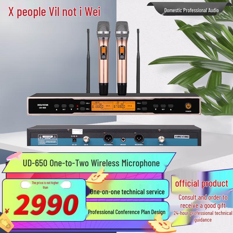 Xun Er Wei Professional Wireless Microphone Systems (CN version)