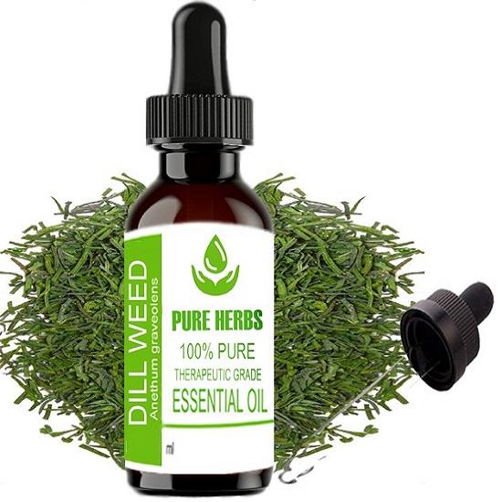 

Pure Herbs Dill weed (Anethum graveolens) Pure & Natural Therapeutic Grade Essential Oil Plastic with Dropper 10 ml
