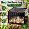Prevent Escape Spider Pet House Transparent Crawling Pet Container  Insect Breeding