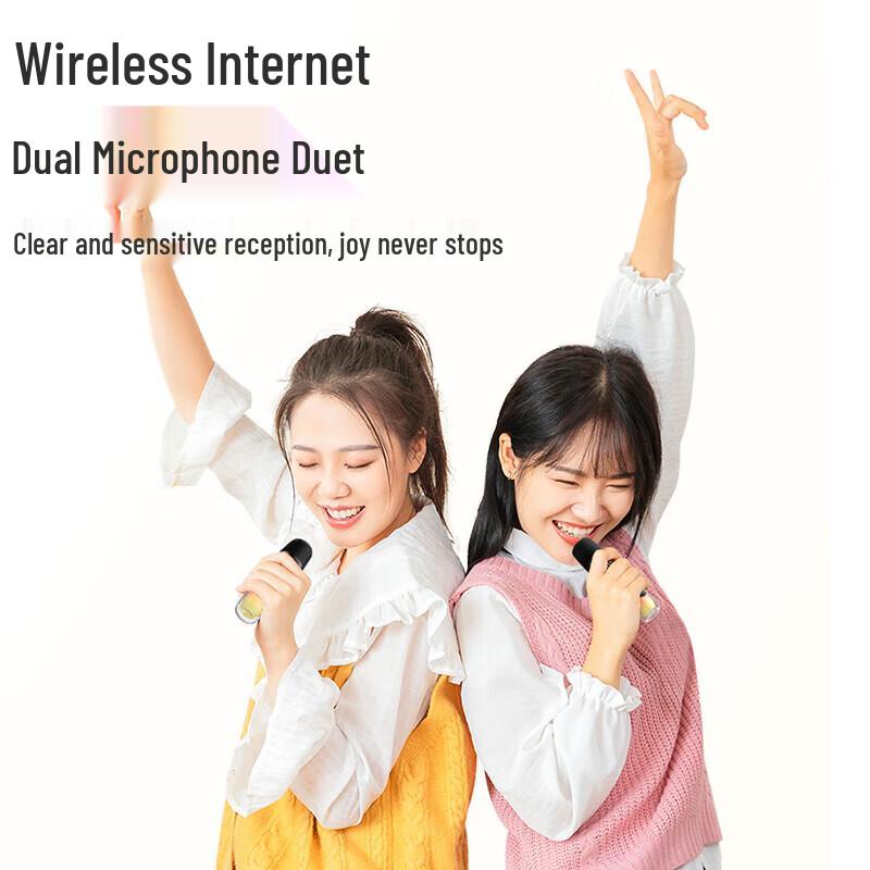 Newmine MC75 Portable Bluetooth Karaoke Speaker with Dual Mics