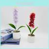 Windmill Hyacinth Indoor Plant Decor Faux Flower Pot With Plastic And Silk Material For Home And Wedding
