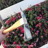 Silver Pick Axe Detachable Garden Pick Axe Durable Digging Tools
