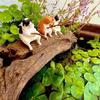 Fishing Cat Aquariums Decorations Fish Tank Hangable Landscape Aquarium Cat Fishing Ornament Home Aquarium Decor