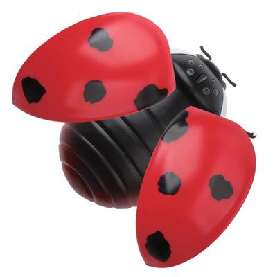 Städ & Hushåll – Insekter