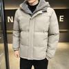 Fake Two-piece Cotton-padded Jacket for Men's Winter Loose Waterproof Thickened Fleece Short Cotton-padded Jacket Hooded Cotton-padded Jacket