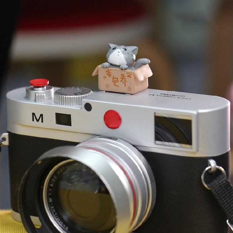 3D kreslený kryt sáněk fotoaparátu Roztomilý pro kočku DSLR Prachotěsný kryt sáněk pro DS