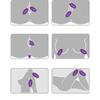 Female Vibrator Body Massager Silicone Dildo G-Spot Stimulate Massager Adult Sex Toy for Women