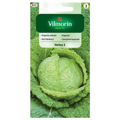 Wirsing Vertus 2 Samen 2g -