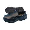 Steel Toe Anti-Static Safety Shoes for Food Engineering & Cleanroom Work