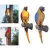 Voice Recording Parrot Tree Hanging Ornament 10.5x9.5x33cm Multipurpose Hand Painted Bird Figurine Garden Decoration Resin Craft