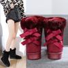 Snow Boots Women's Short Tube Plush 2025 Winter New Style of Pasted Disc Short Knot Student Women's Boots Casual and Versatile