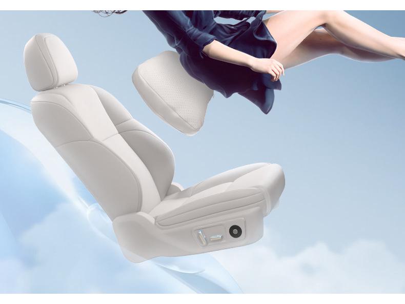 BYD Dolphin Headrest & Lumbar Support: Essential Car Neck & Waist Pillow for Interior Comfort