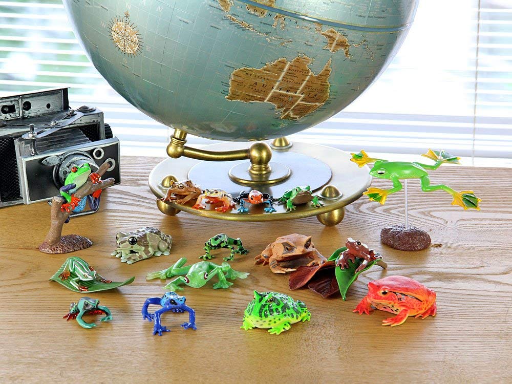 Calorata Frog 3D Encyclopedia Frogs with Realistic Figures Birthday Gift Sanitation Law Figure Box Christmas Gift (16 Instructions) (Educational Toys)