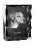 Azawakh, Tuareg Sloughi – Crystal with a picture of a dog, glass statuette with a picture | Art-Dog