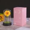 Sunflower Night Light: Dried Flower Simulation Ornament for Christmas & Valentine's Day Gift Decor.
