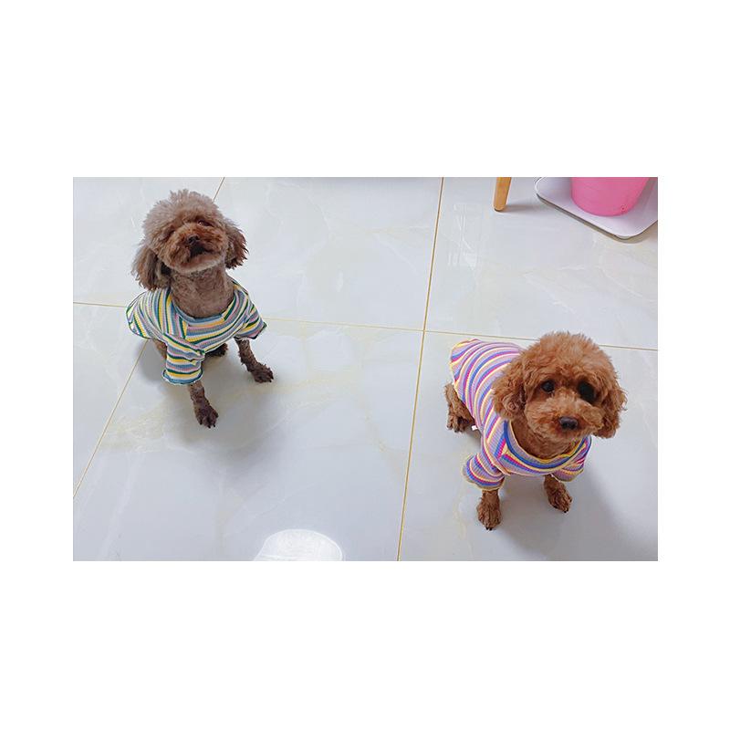 Cotton Rainbow Pet Sweater Spring and Autumn Small Dog and Cat Clothing