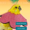 Měkké obojky pro ptáky prodyšné pro škubání proti kousnutí Korela Parrot Bird alžbětinský obojek Pohodlný ochranný kuželový obojek
