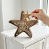 Wooden Star Piggy Bank Multi-Function Storage Box  Display The Sea Glass