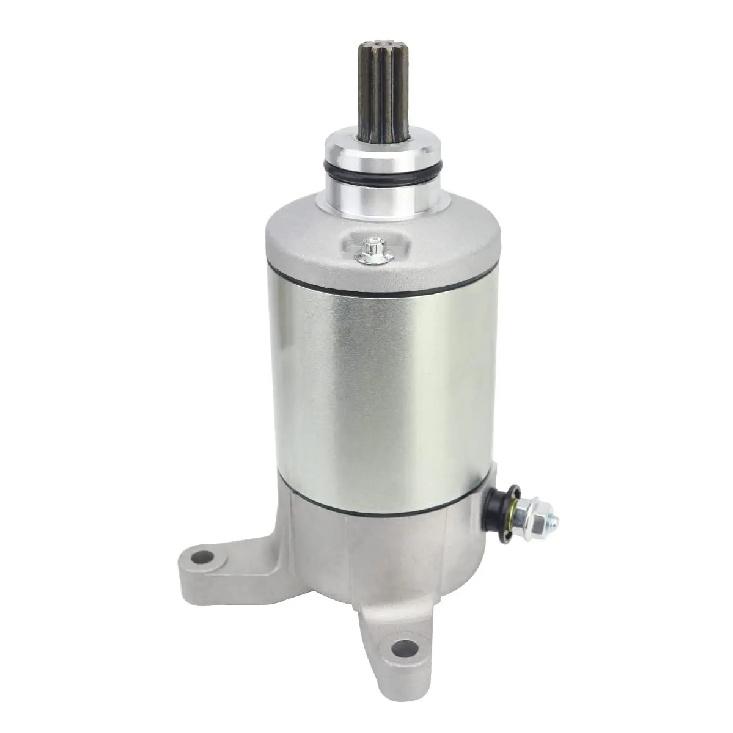 

31100-02C10 Starter Motor for Suzuki Ozark 250 LT-F250 02-2014 Quadsport 250 LT-Z250 2004-2009 18808 410-54046 41054046 57-2789 1 PC Starter