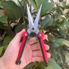 Fruit Tree Scissors Pruning Stainless Steel Pointed Fruit Picking Scissors Pruning Scissors Fruit Branch Vegetable and Fruit Scissors Floral Scissors