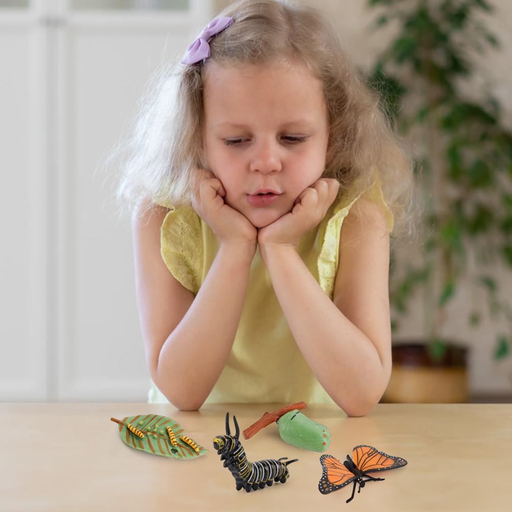 Growth Cycle Model Realistic Life Cycle Animal Models Child Imagination Toys Teaching and Learning