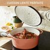 Tefal cocotte en fonte terracotta 29 cm, induction + four, robuste, eco-design, ebook de recettes saines inclus, lov e2600504