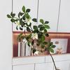 Fake Gardenia Flower Decor For Home And Events With Silk Fabric For Photography And Wedding Backdrops